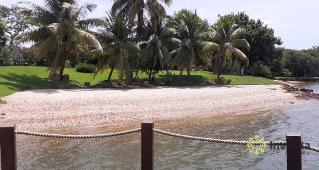 Terreno no Condomínio Caribe á venda por R$ 475.000 - Palmas/TO - Foto 6