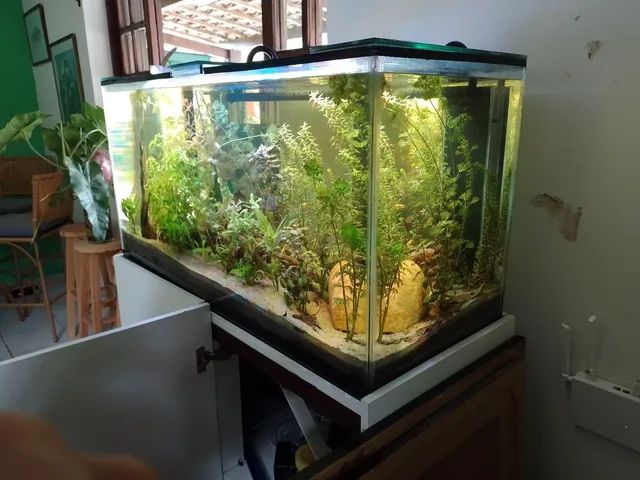 Aquário Novos de Fábrica, Diversos tamanhos, fazemos entrega, orçamento pelo whatsapp  - Foto 5