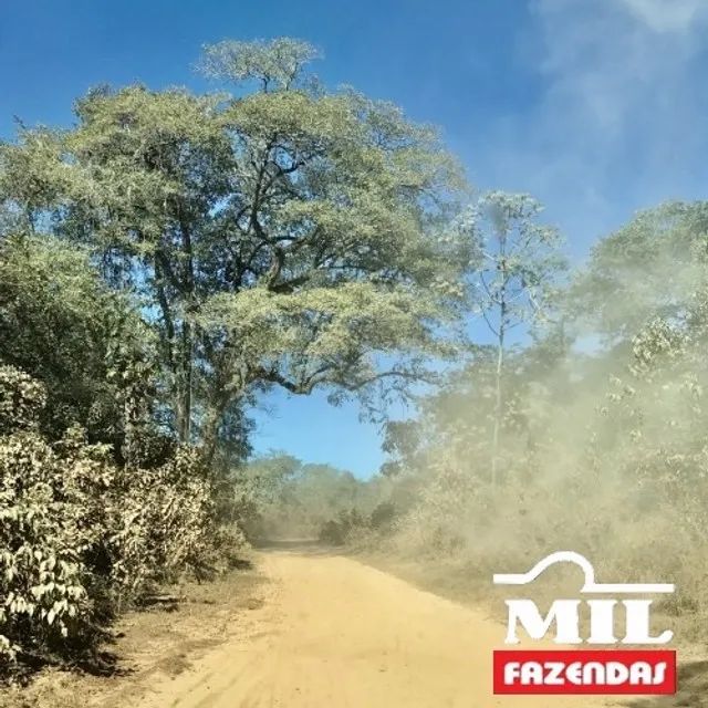 2510 Alq (12.145 Há)   Cocalinho - MT - Foto 5
