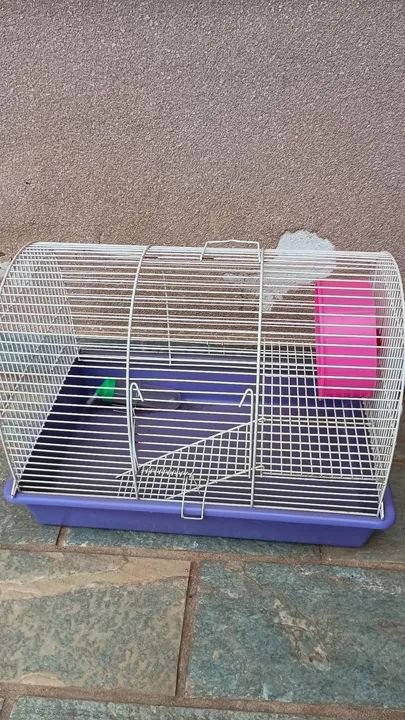 Gaiola para roedores 