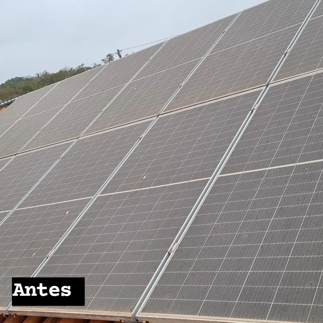 Limpeza de placa 