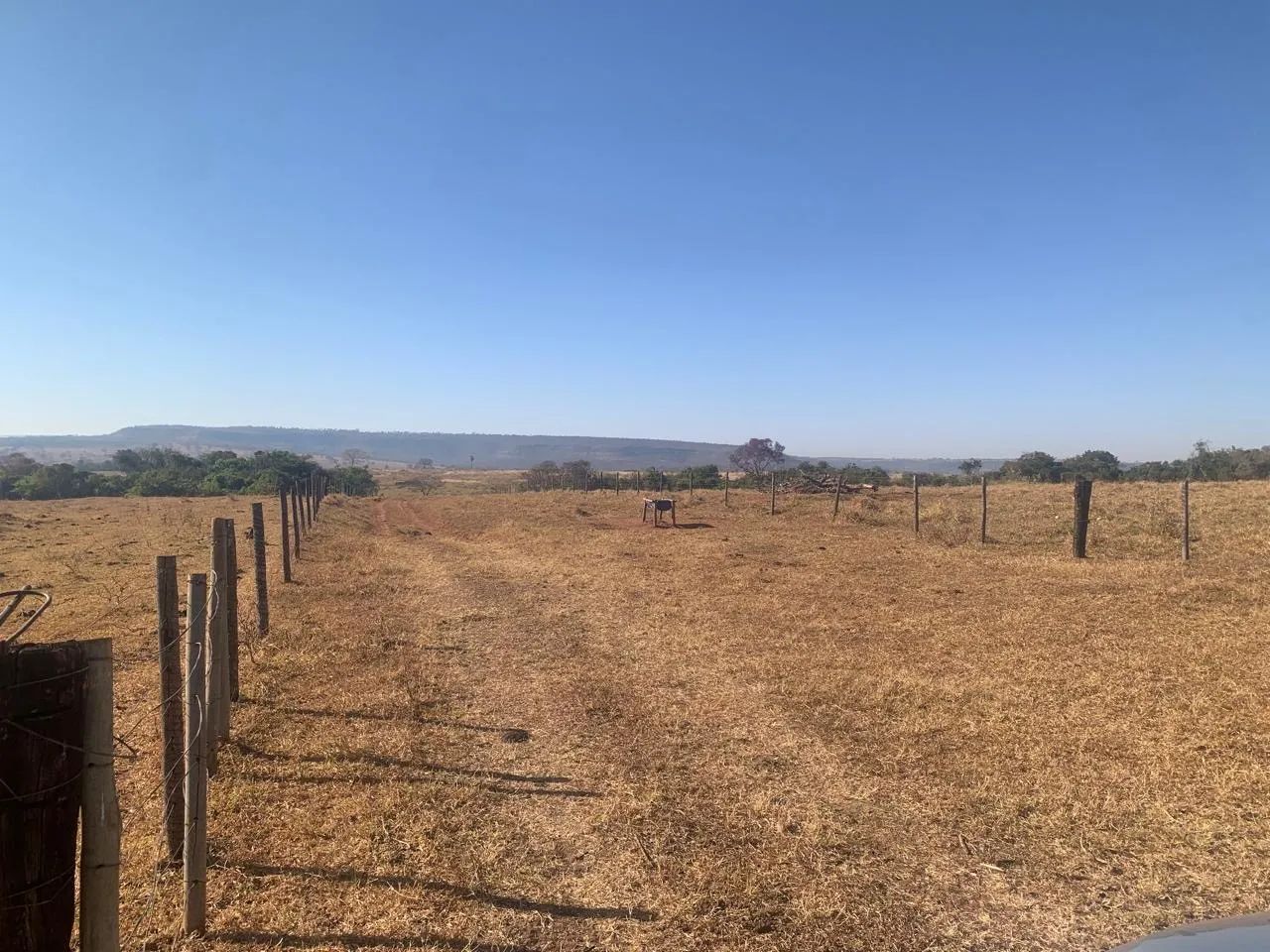 Fazenda em campina verde  - Foto 3