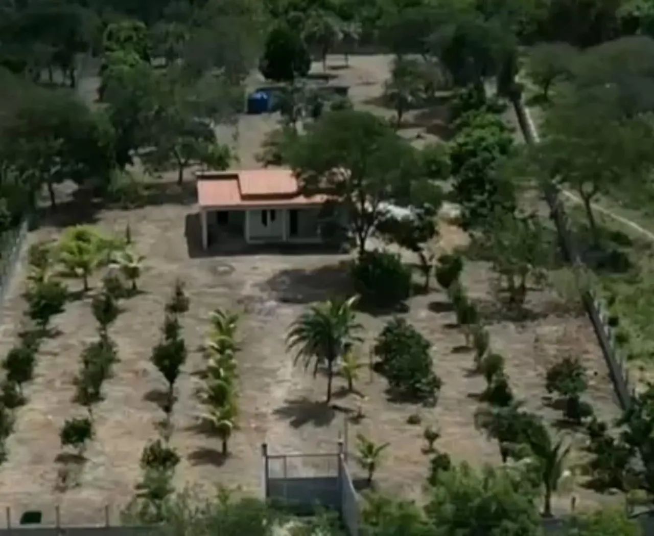 Foto - Campo Formoso - 