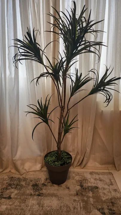 Planta permanente  - Foto 2