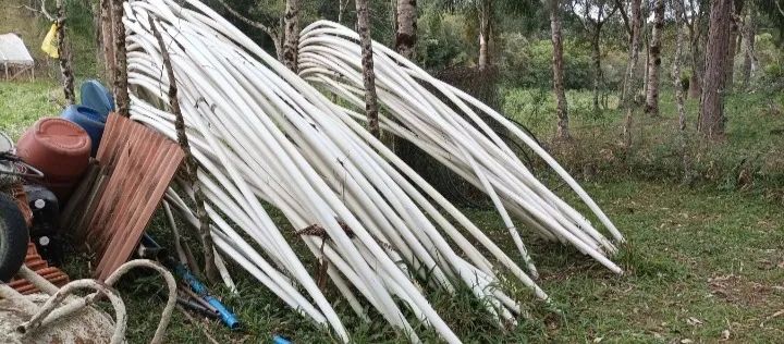 Cano para estufa de morango 