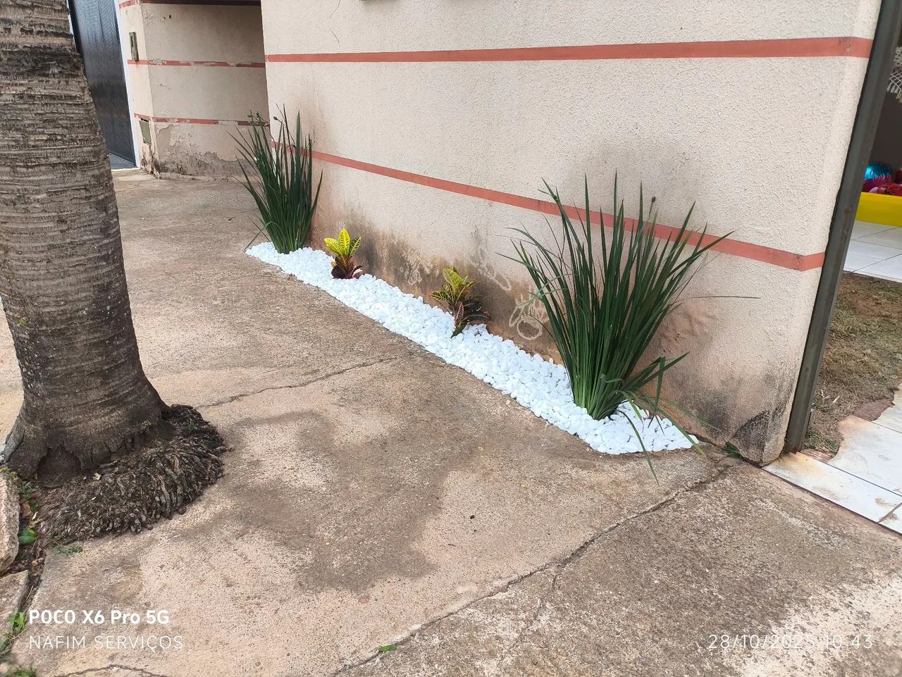 Serviços de jardinagem em geral  - Foto 3