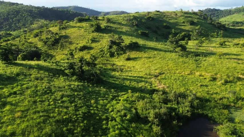 Fazenda 169,4 hectares - terra pronta - Foto 2