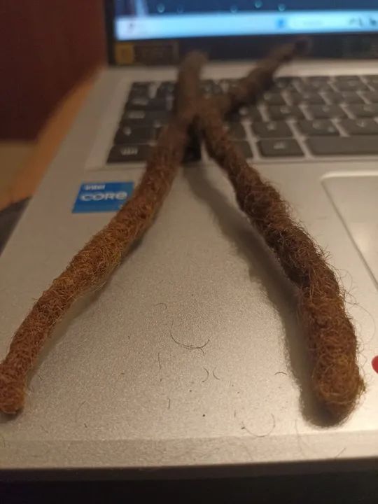 Dreadlocks ou dreads (natural) - Foto 4