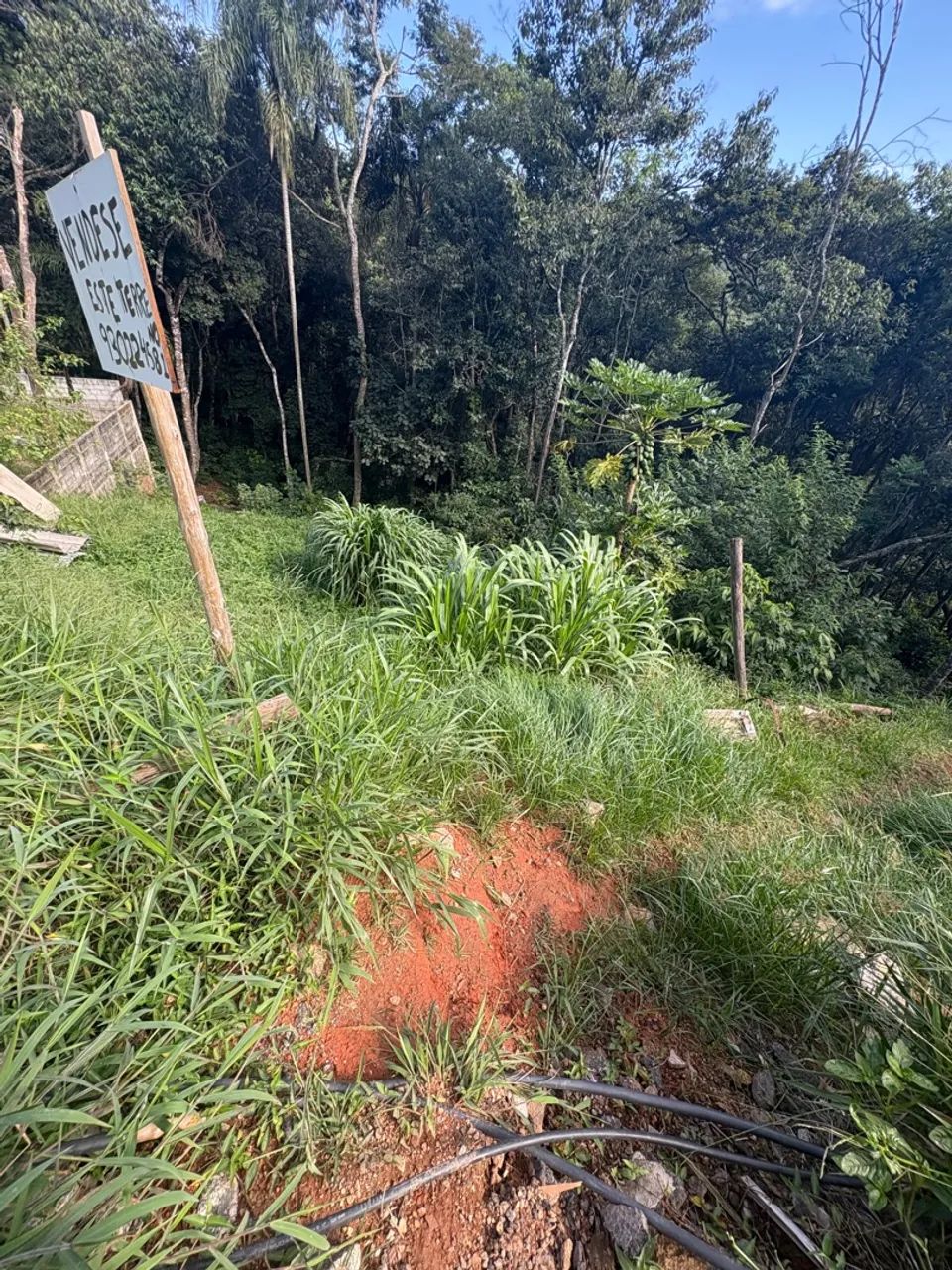 Terreno em Mairiporã! Próximo ao restaurante Dib. Sezefredo Fagundes !  - Foto 4