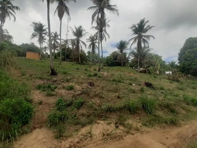  Terreno com vista panorâmica em Bitingui - Japaratinga/AL - Foto 5