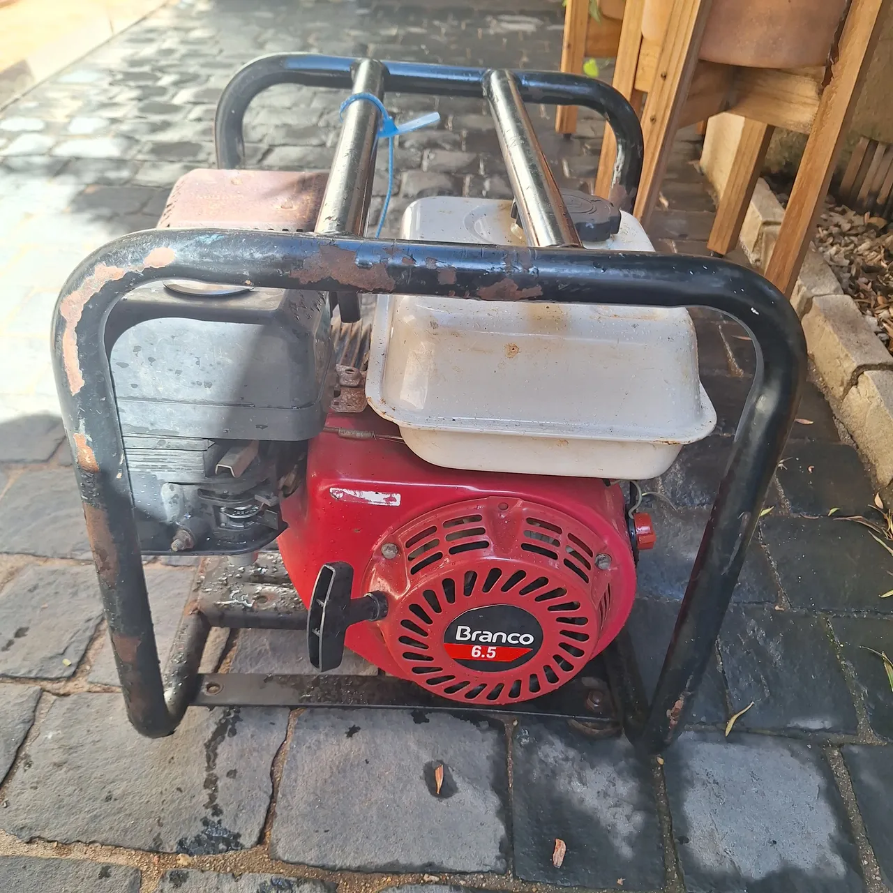 Moto bomba a Gasolina