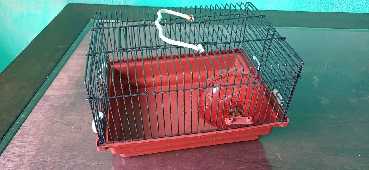 Gaiola para Hamster - Foto 3