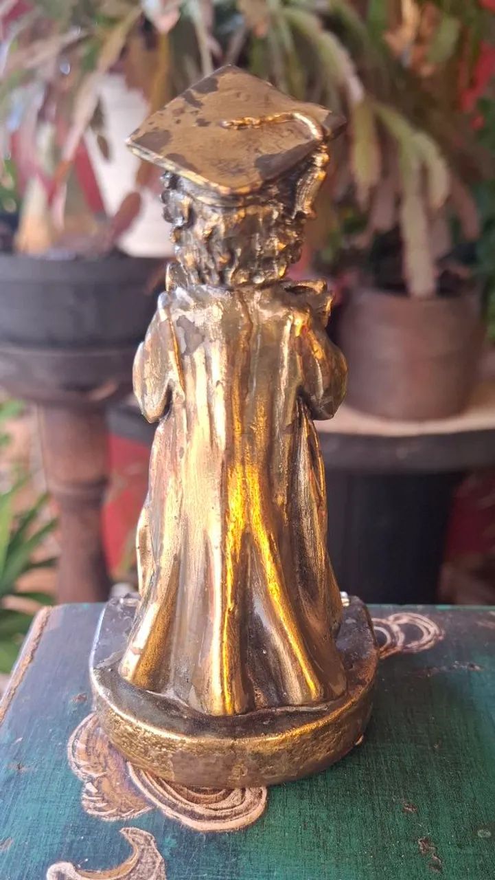 Estátua de Veterinário Colecionável - Foto 2