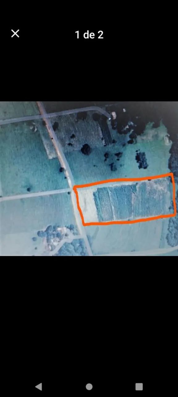 Foto - Fernandópolis - 