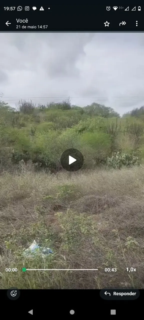 Sítio com 4 hectares em Pocinhos por R$120.000,00