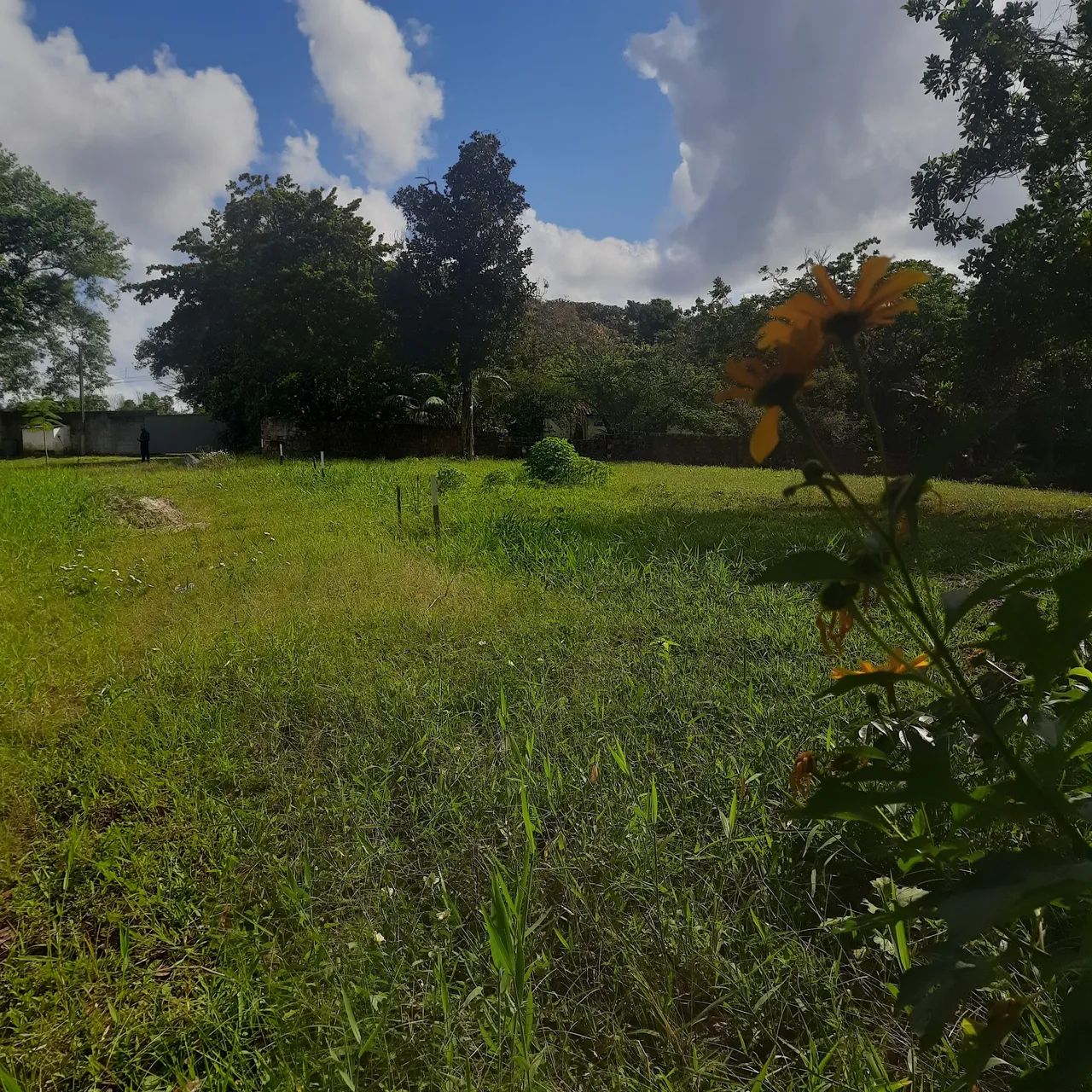 Foto - Camaragibe - Timbí