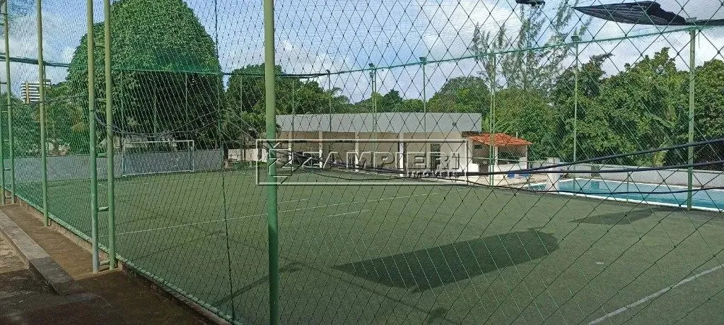 Terreno para aluguel na Serraria