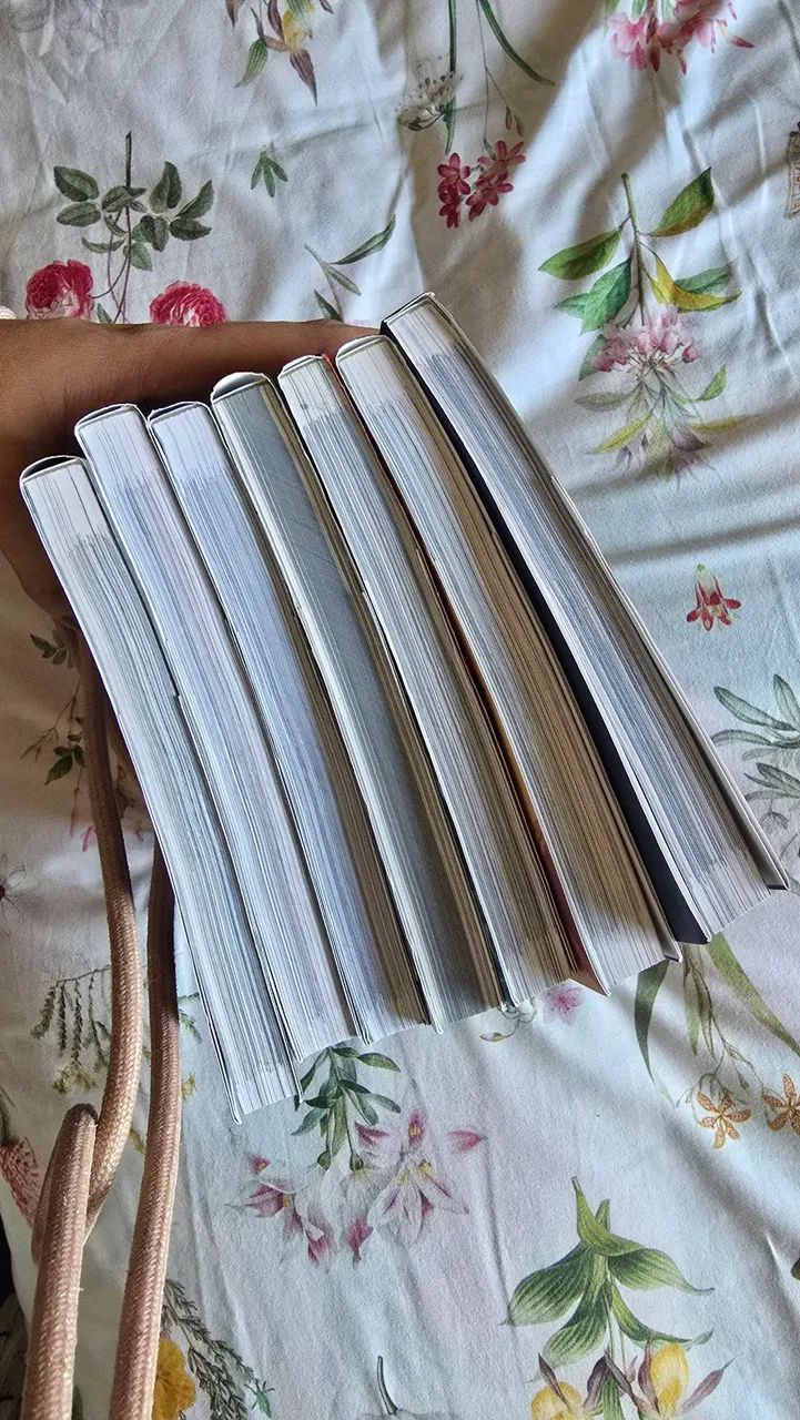 Solo leveling coleção panini - Foto 3
