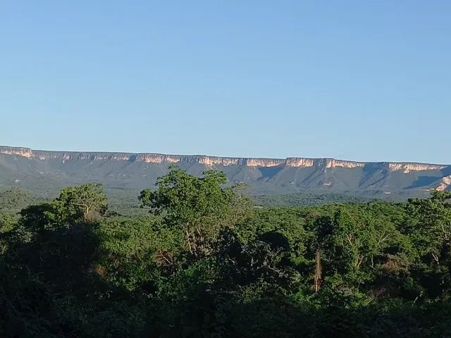 Chácara de 19 hectares com Rio Palma ? Aurora do Tocantins - Foto 2