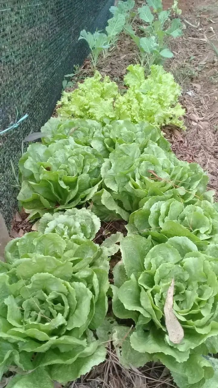 Chácara com piscina e vista panorâmica em Juquitiba - Foto 7