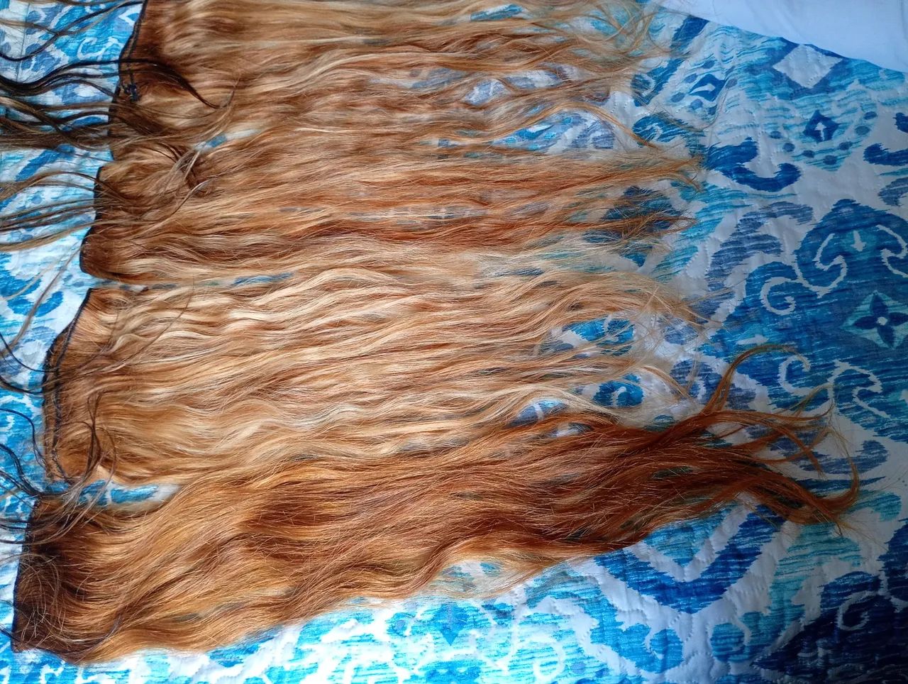 Cabelo humanos brasileiro