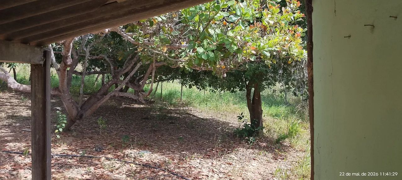 Vendo lindo sitio
