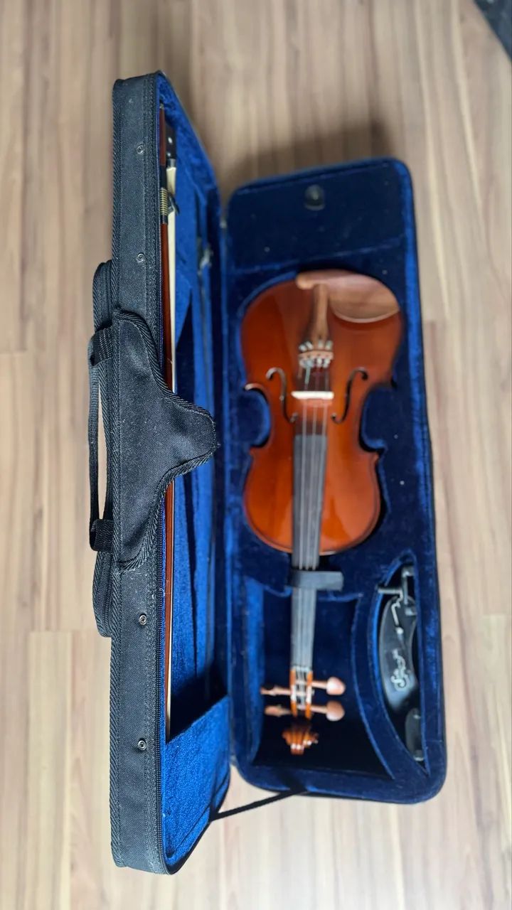 Violino Eagle Ve441 4/4 Com Case, Arco - Foto 2