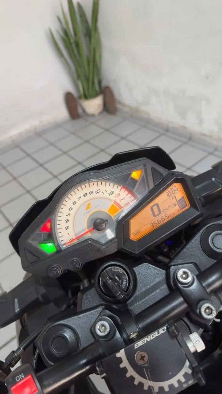 Z300 2019 