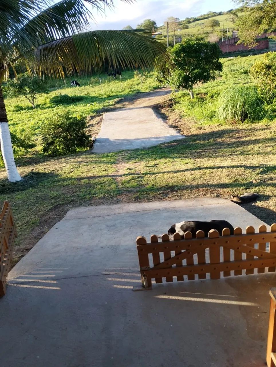 Sítio Serra Verde - Riacho das Almas - Foto 2