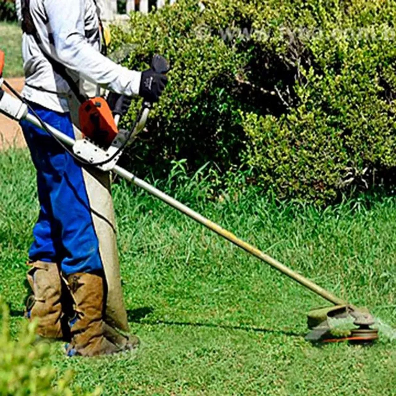 Jardinagem e paisagismo 