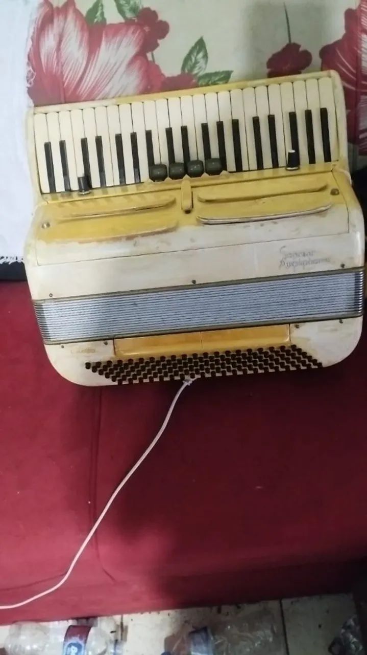 Acordeon rondini - Foto 2
