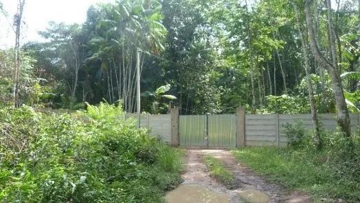 Sitio localizado no Município de Benevides - Foto 2