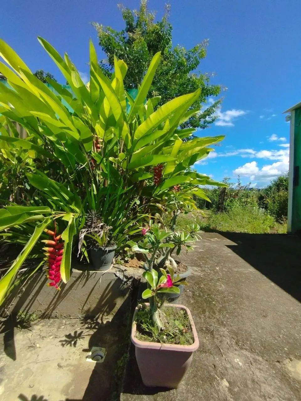 Vende-se este sitio  - Foto 2