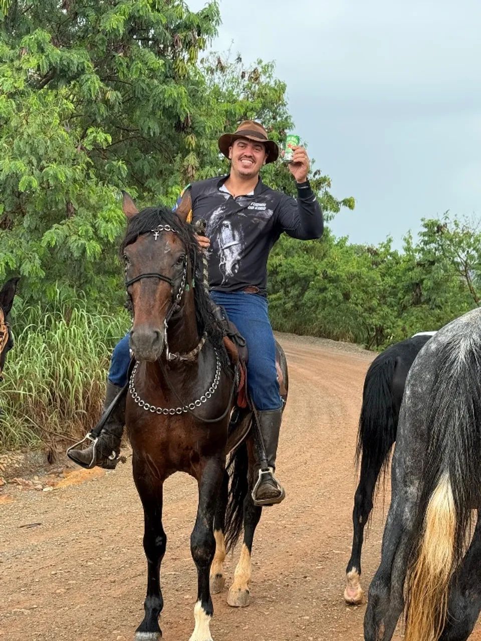 Cavalo - Foto 4