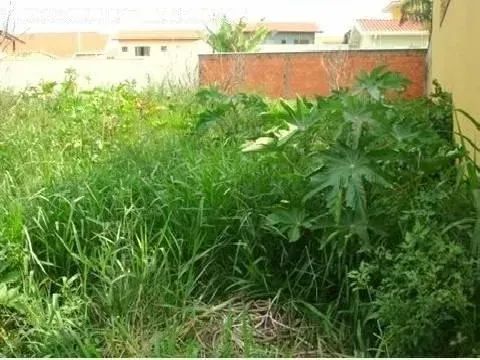 terreno - Parque Alto Taquaral - Campinas - Foto 2