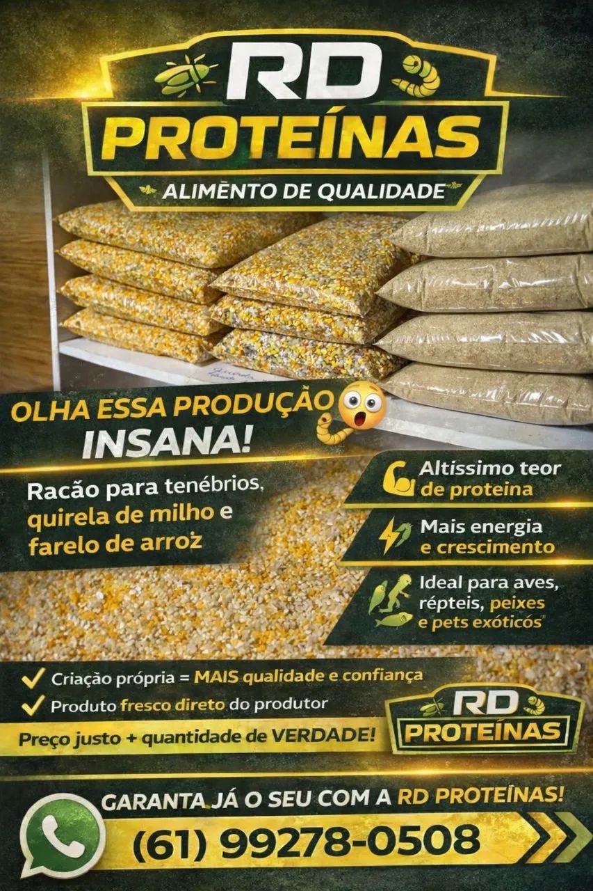 Ração, farelo de arroz, quirela de milho, Tenebrios, baratas, grilos, minhocas, besouros  - Foto 5
