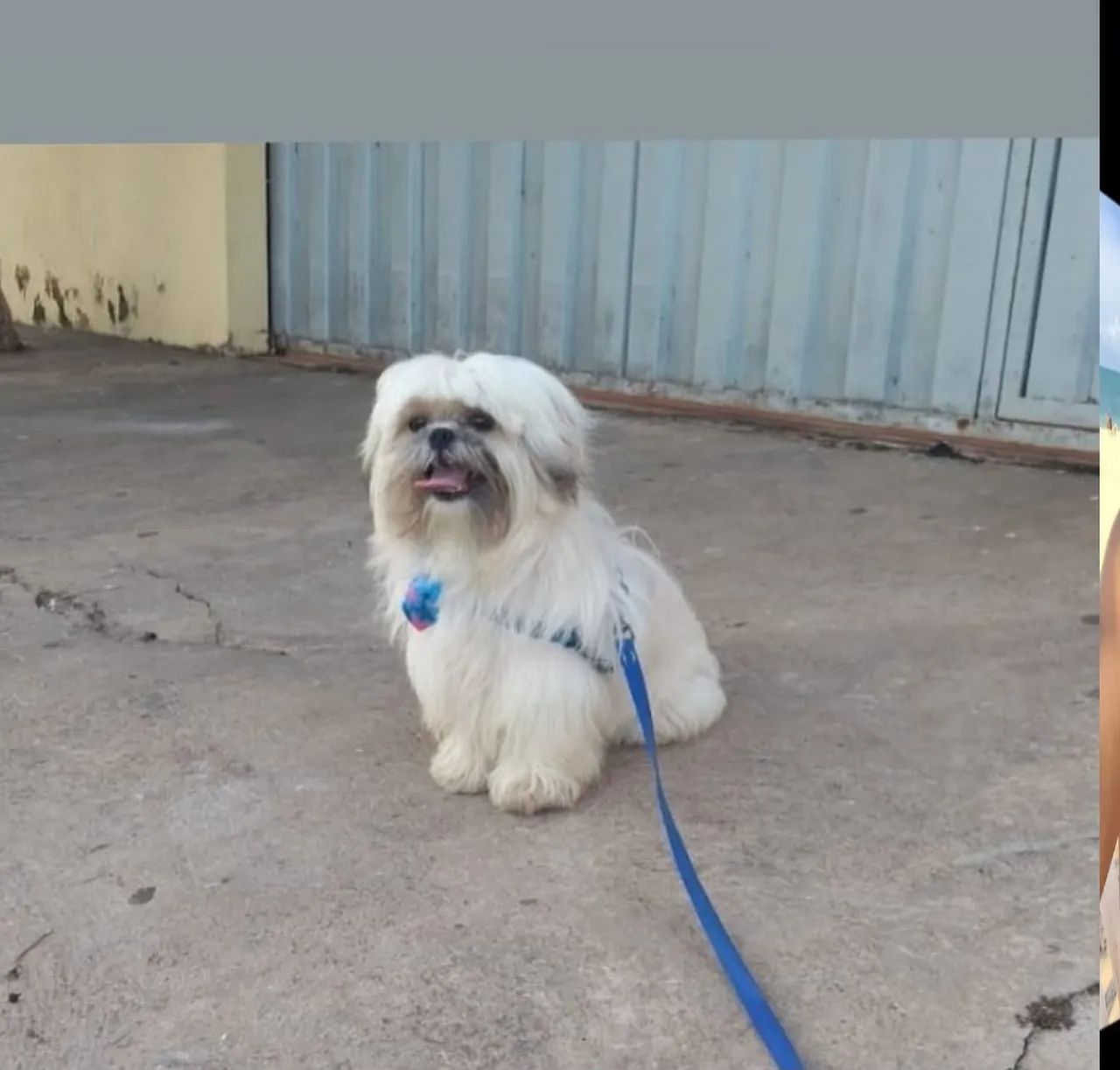 Doação