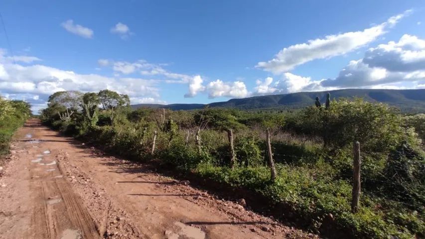 Excelentes Terrenos Bahia  - Foto 2