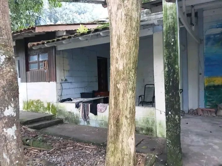 Chácara a venda preço pra vender rápido  - Foto 5