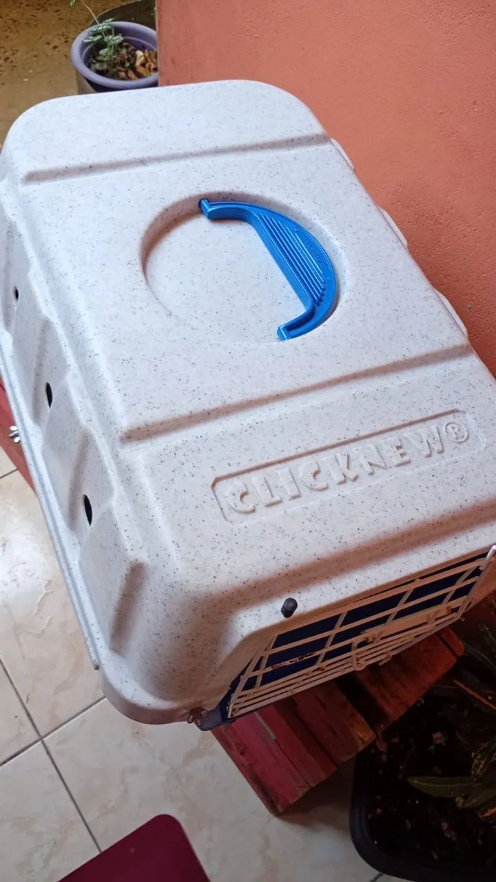 caixa pra transpôs-te de gato e cachorro 