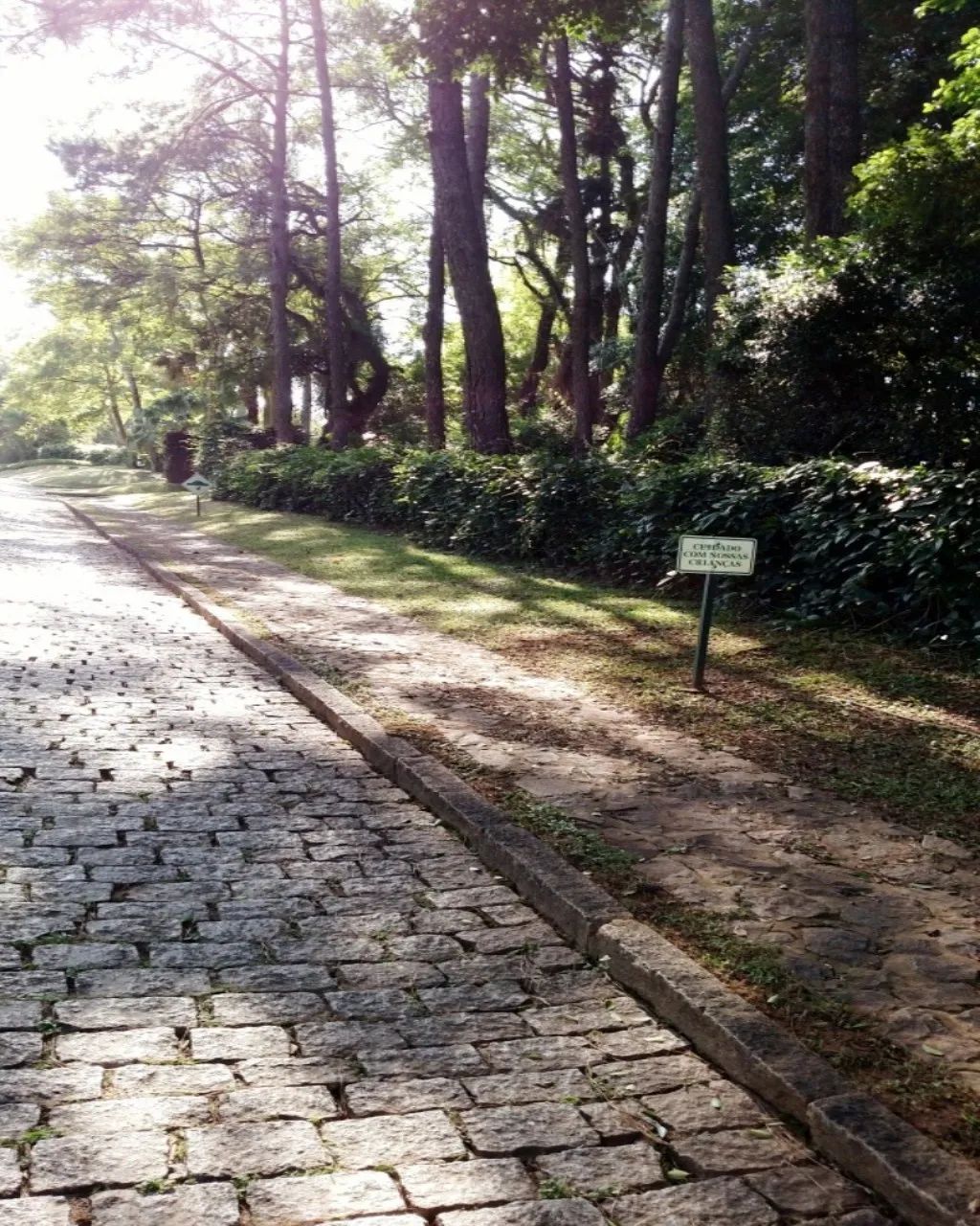 VENDO TERRENO EM CONDOMÍNIO CHÁCARAS GRAMADO - CAMPINAS - Foto 2