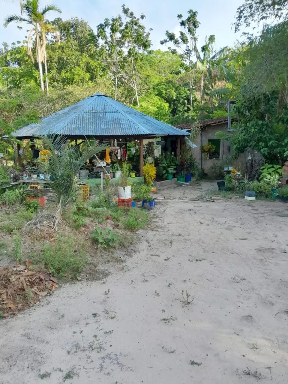 Chácara com igarapé