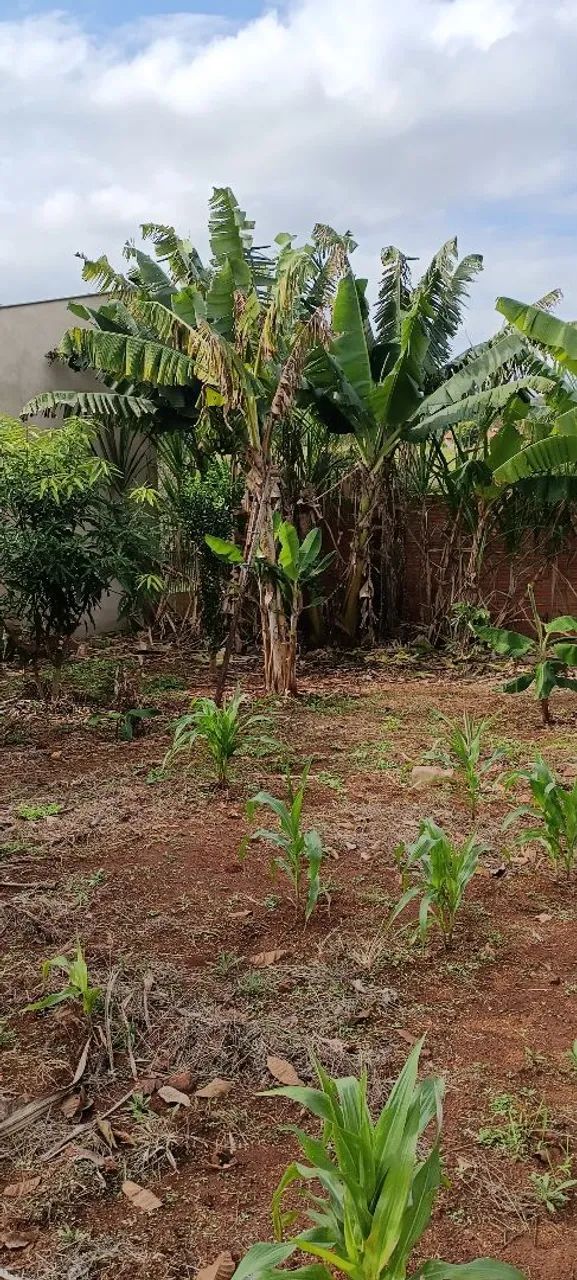 Chácara a Venda em Jataizinho  - Foto 5
