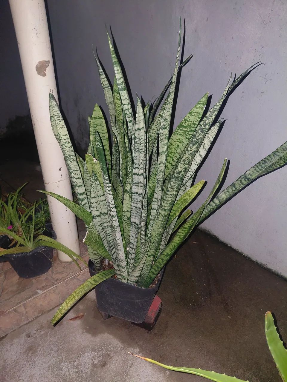 Vende-se 