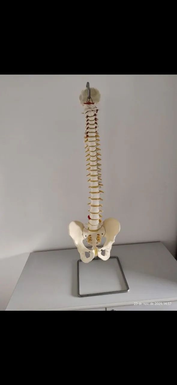 Material utilizado na sessão de fisioterapia para orientar o paciente. 
