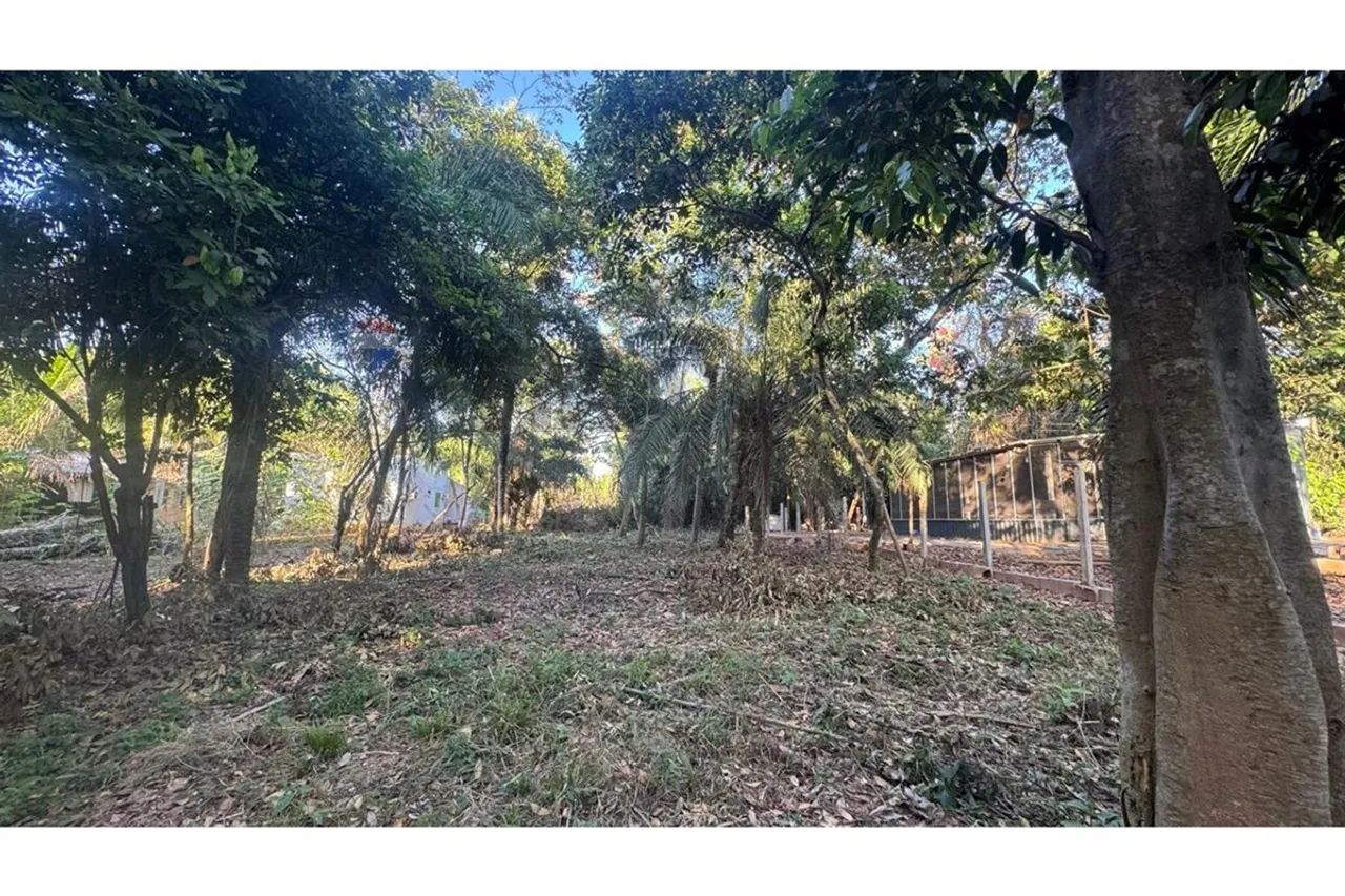 "Terreno Perfeito em Rondonópolis: Invista Agora!" - Foto 4