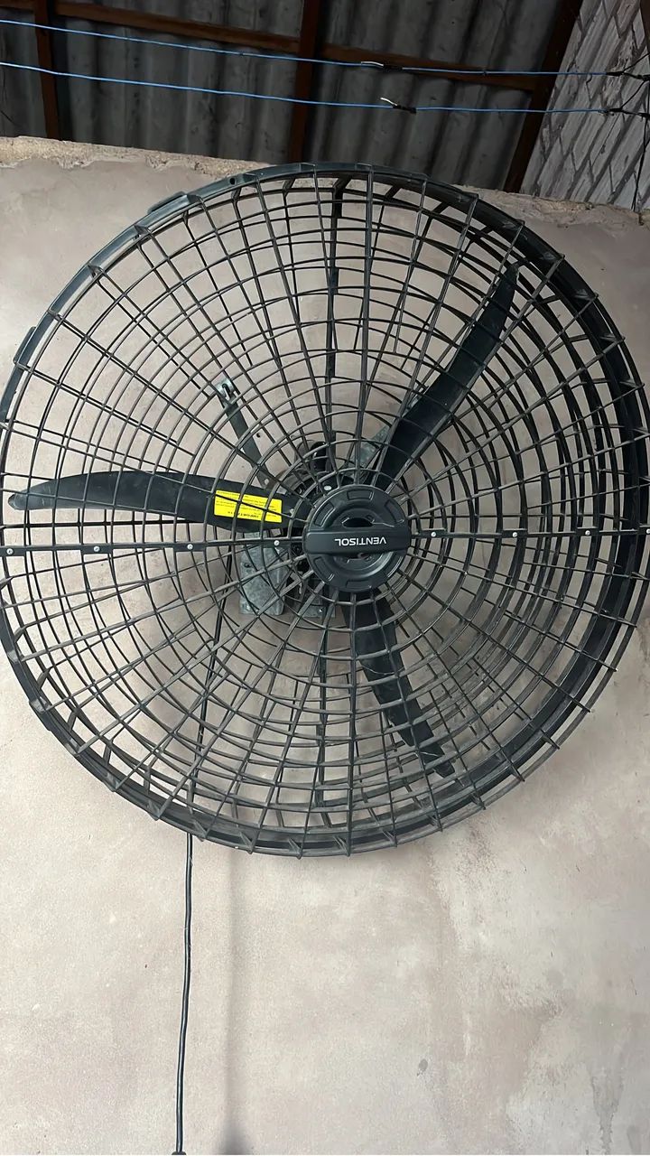 Fan for sale