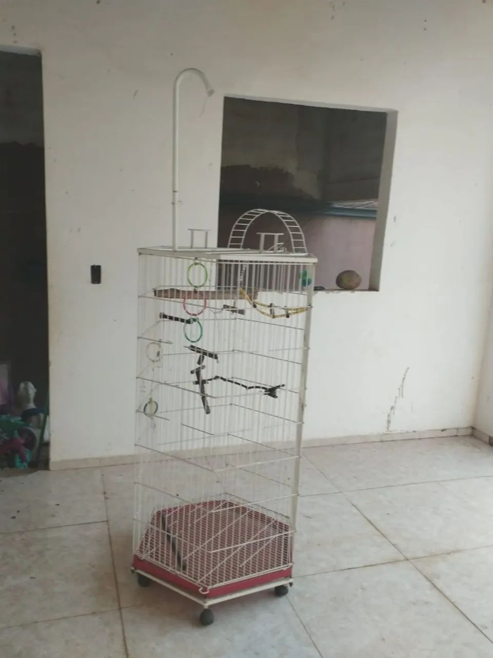 Gaiola para calopsitas