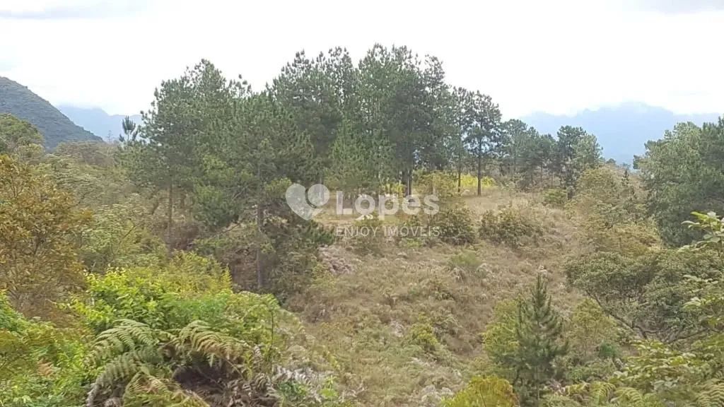 Terreno em Itaipava, Petrópolis - Foto 4