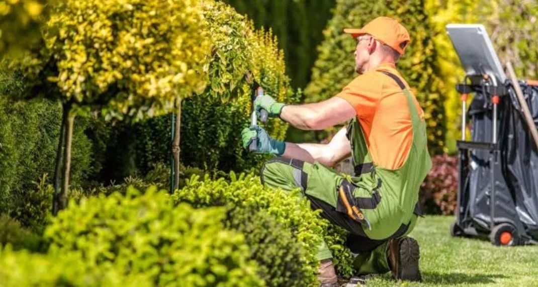 Faço limpeza de terreno e jardinagem e entulho  - Foto 3